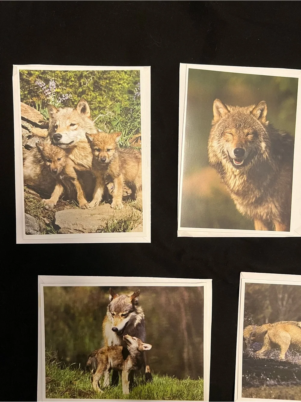 Wolf Greeting Card Bundle